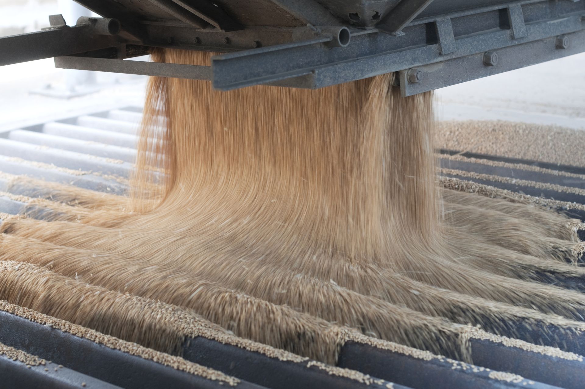 Déchargement de grain en fosse